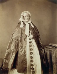 Ann Phillips